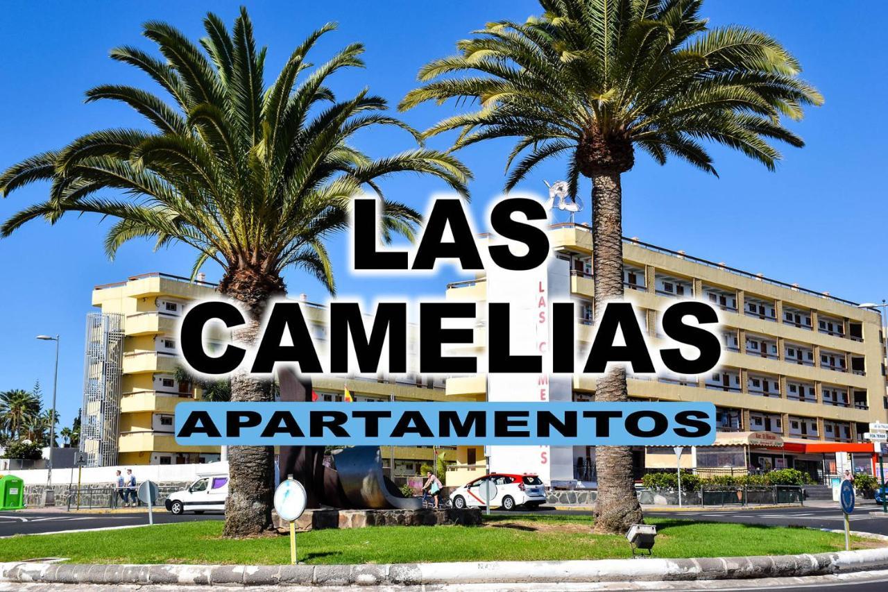 Camelias V14 Maspalomas (Gran Canaria)